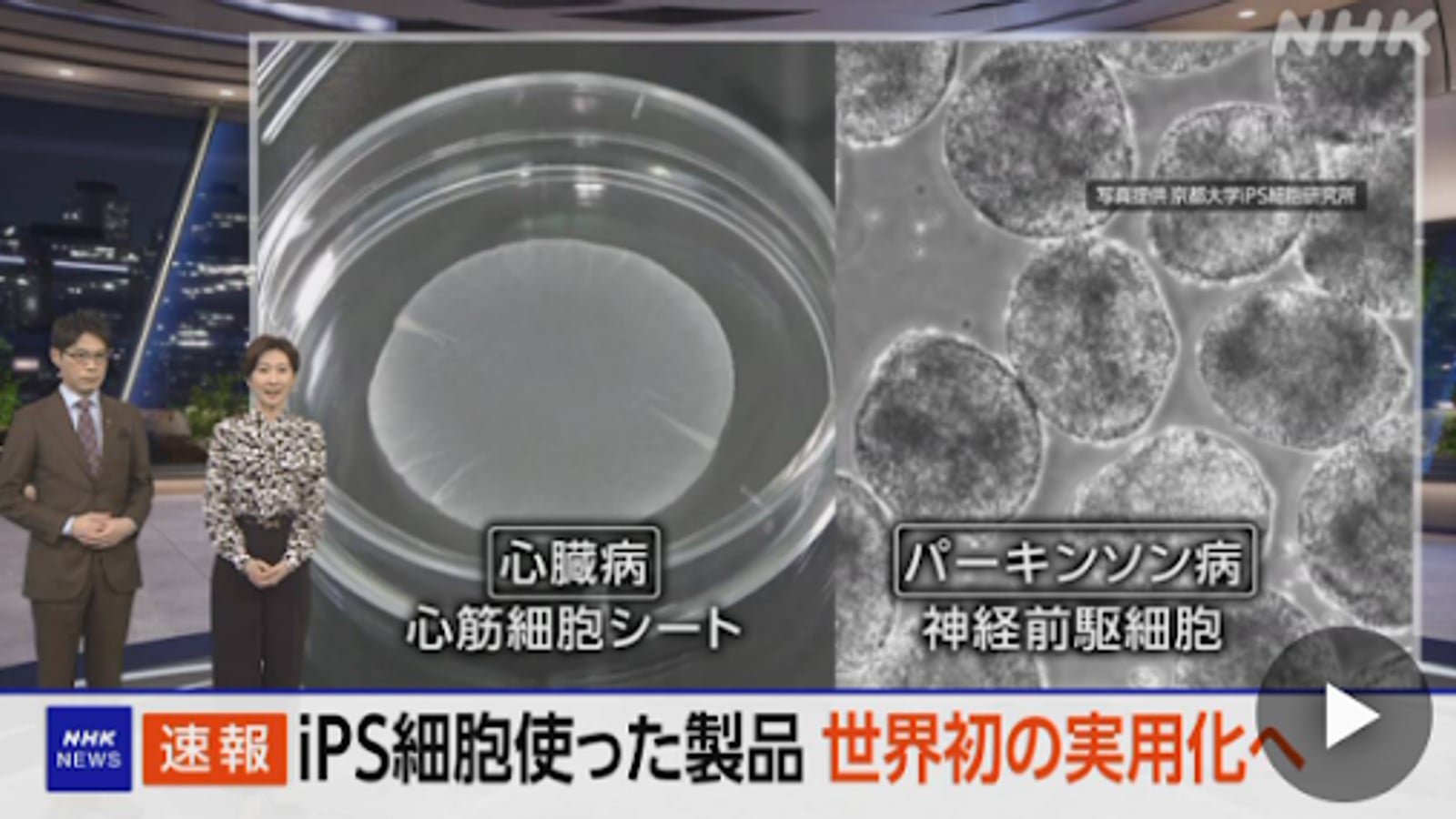 Where Is Japan's Regenerative Medicine Heading in 2026? Three Key Trends to Watch