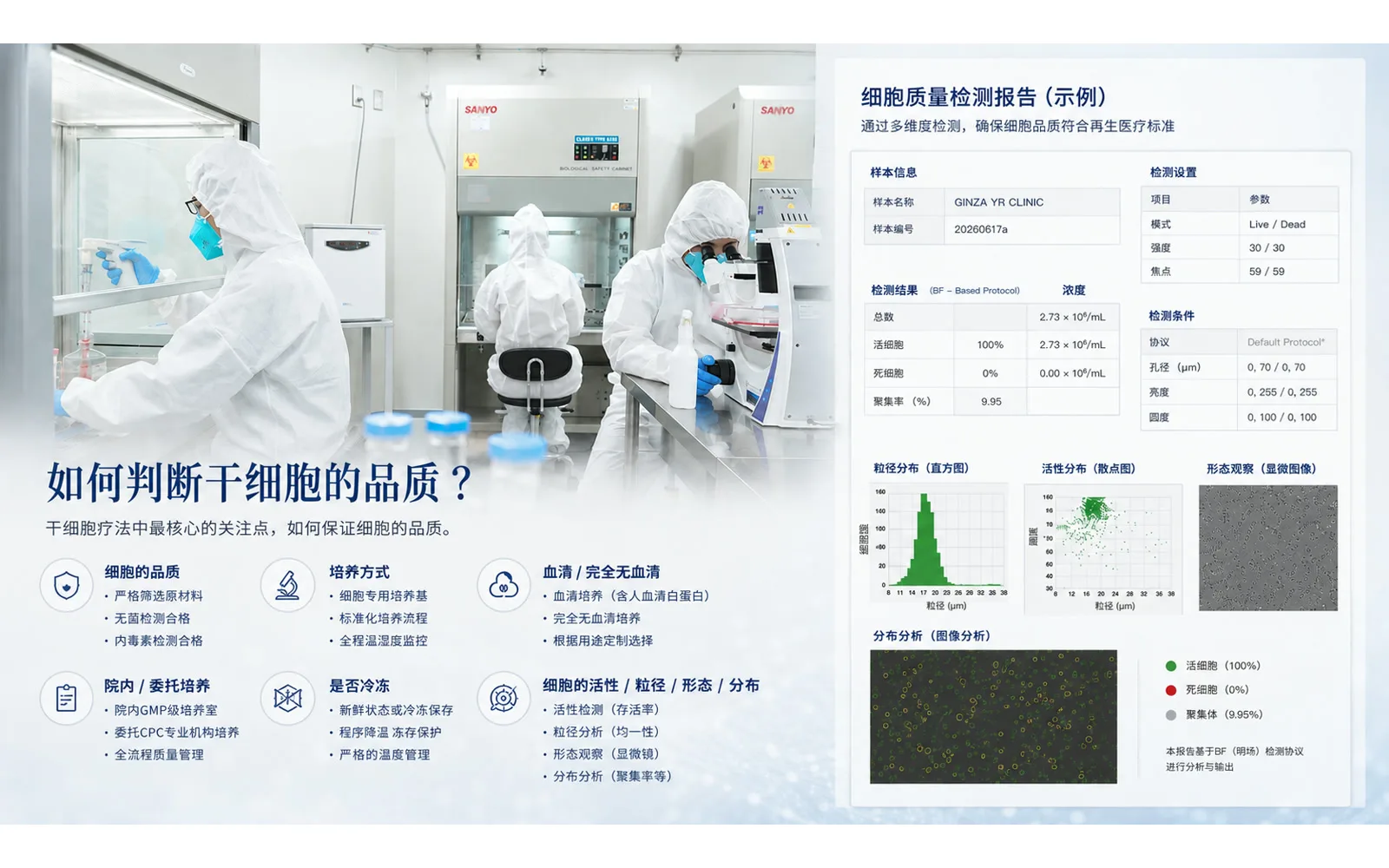 细胞质量、制备流程、活性与检测数据，往往比单纯数量更关键