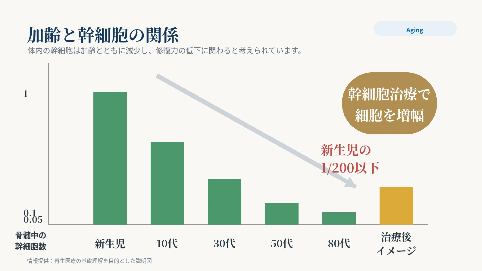 加龄与干细胞数量变化示意