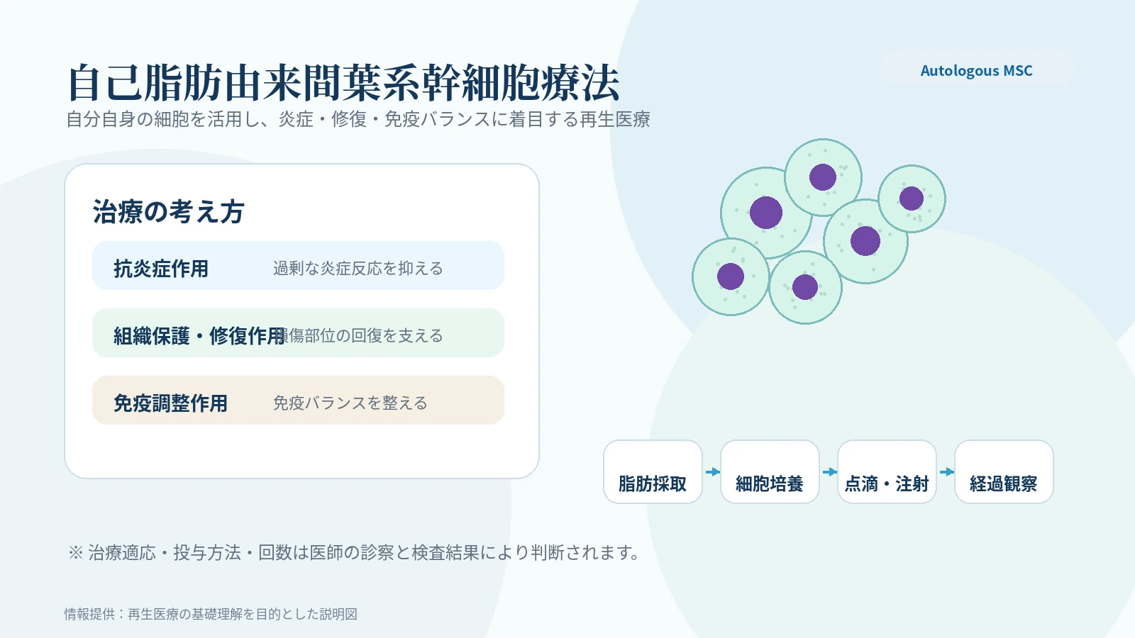 日本自体干细胞疗法与脂肪来源间叶系干细胞示意