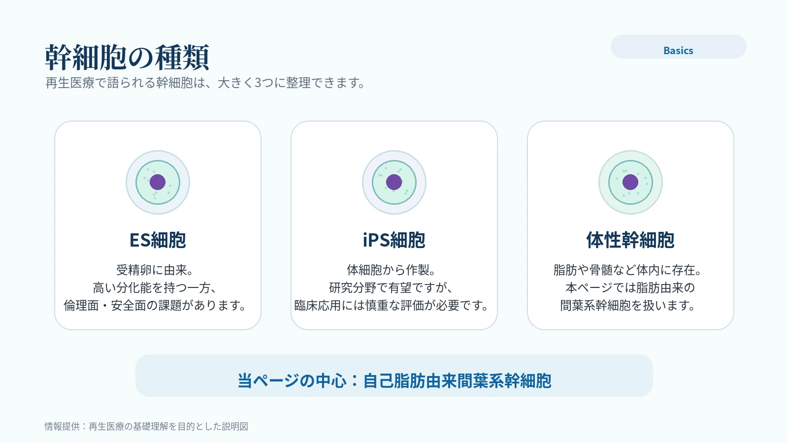 ES细胞 iPS细胞 体性干细胞对比
